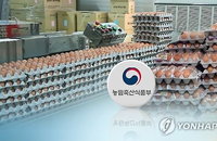 설 명절 수입계약 완료한 계란... 예상 금액은 310 원, 최소금액은 290원