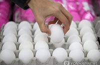 미국 하얀계란 대형마트에서 국산처럼 꾸준히 팔린다