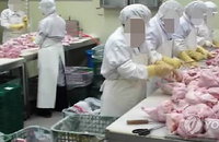 설 성수식품 원산지 국산 둔갑 여전해... 위반업체 무더기 적발