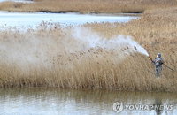 설 전후 'AI 확산 방지'…전국 일제 청소·소독