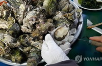 때아닌 대형마트 굴에서 노로바이러스..."손자주 씻어야"