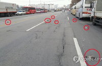 설연휴 AI 신고 없었지만...이례적인 비둘기 폐사에 방역 비상