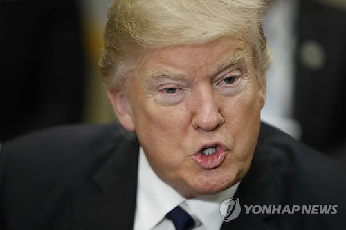도널드 트럼프 미국 대통령 도널드 트럼프 미국 대통령