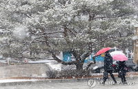 [주말날씨] 밤부터 중부내륙·강원산지 최고 20cm 눈