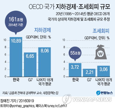 조세회피 지하경제