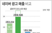 네이버 광고수익 국내 1위... 광고 수익 해외 사업자들 압도