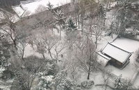 [오늘날씨] 출근길 전국에 눈·비… 내일 새벽 그친 뒤 다시 반짝 추위