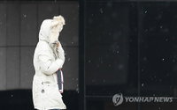 소설인 오늘, 눈 대신 미세먼지...살얼음 잡히고 땅 언다는데?