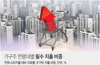 금융위기 이후 20·30세대 작년 소비지출 대비 식비·주거비 상승