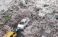 [주말날씨] 전국 곳곳 흐리고 비·눈… 낮 최고기온 7∼14도