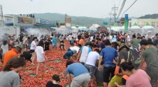 화천 토마토축제
