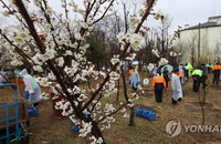 [오늘날씨] 식목일 전국 봄비… 오후부터 미세먼지 해소