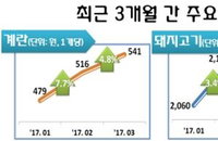 계란 가격 계속 올라... 작년보다 31% ↑↑