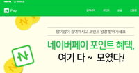 늘어난 네이버·카카오페이 후불결제 한도, 최대  30만원