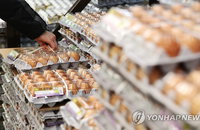 계란값 22% 올랐다는데…  체감 반영 못한 통계청 '장바구니 물가'