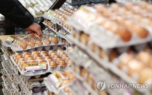 계란 AI 계란 AI