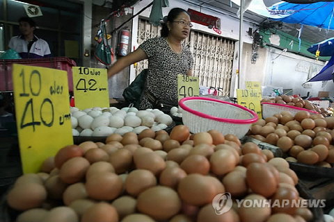 태국산 계란 (참고사진)