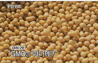 PD수첩, 기업들 공개하지 않는 GMO 사용처 '추적'