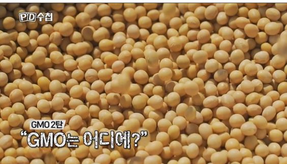 GMO