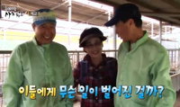 단삼 재배해 당뇨합병증 앓는 '사고뭉치 염소 형제' 먹이는 '호랑이 아내'