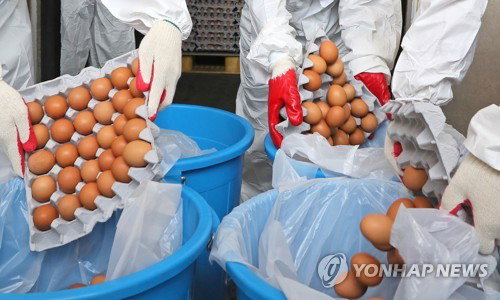 살충제 계란
