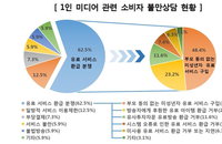 소비자원 "인터넷 1인 미디어, 미성년자 보호장치 미흡"