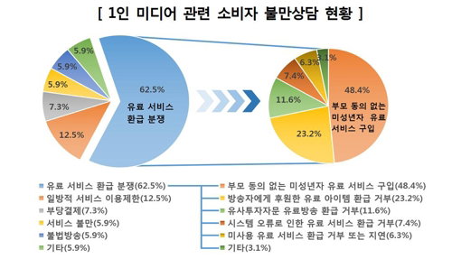 1인미디어 관련 소비자불만상담 현황[소비자원 제공]