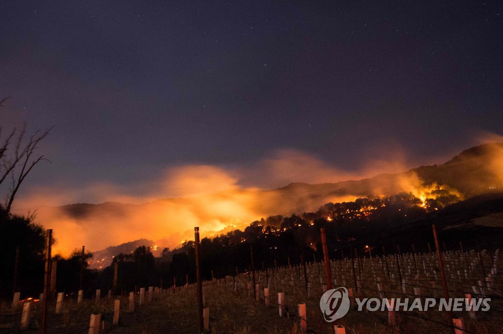 산불 산불