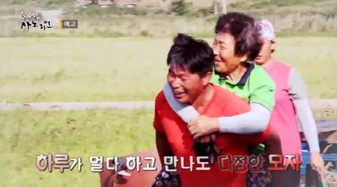 비금도 효자 아들의 두 집 살이