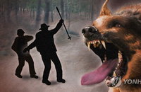'사람 잡는 반려견' 주인 처벌 강화한다…동물보호법 개정 추진