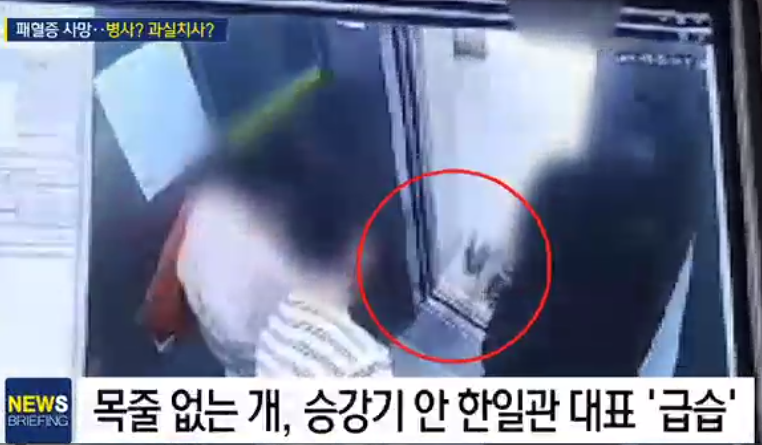 한일관 대표 