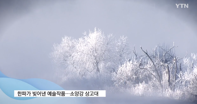 상고대