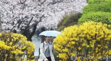 [내일날씨] 서울 벚꽃 공식 개화…내일 5월 초순 봄날씨