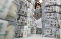 5월말 외환보유액 4천73억달러…전달보다 33억달러↑
