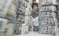 5월말 외환보유액 4천73억달러…전달보다 33억달러↑