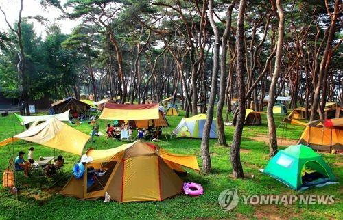 캠핑