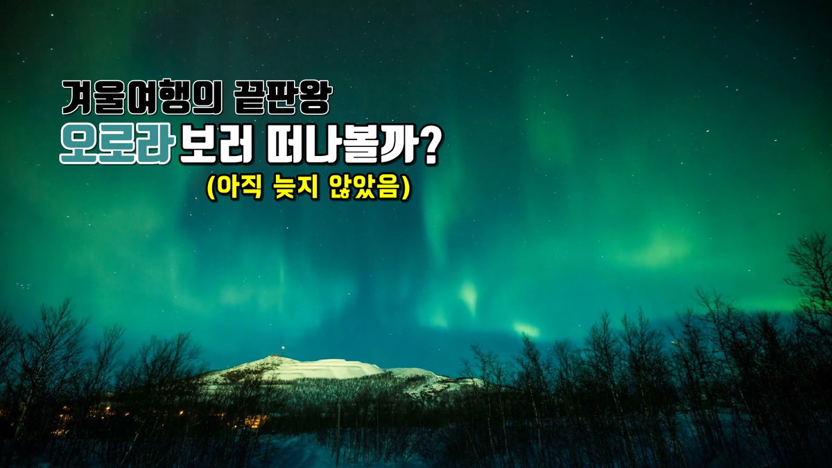오로라 오로라