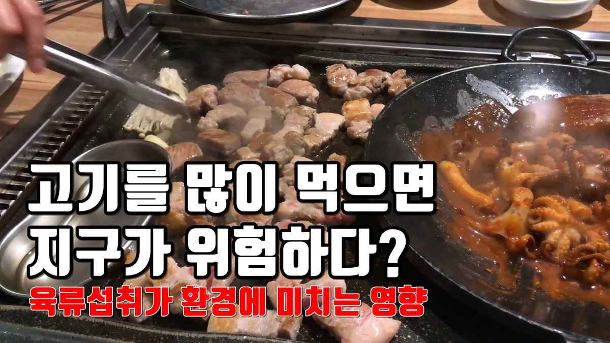 육류섭취