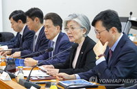 강경화 "북미쟁점, 영변+α 對 제재해제…남북미 1.5트랙 추진“