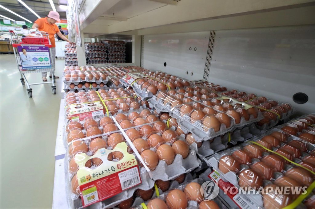 계란 계란
