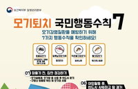 5월 동남아 여행 '뎅기열' 주의…"모기 기피제 준비하세요“