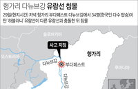외교부 "헝가리 사고 한국인 7명 사망·7명 구조·19명 실종“