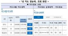 내 카드 한눈에