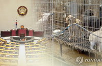 맹견 소유자 보험가입 의무화...학대⋅유기 처벌 강화