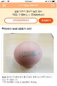 달걀 달걀