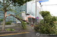 강풍 조심하세요…전국은 지금 강풍주의보