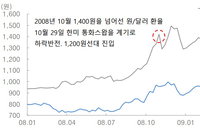 한미 통화스왑 체결…2008년 금융위기의 두 배 규모