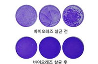 코로나 19 불안 속 바이러스 30초 만에 99.9% 살균 가능 기술 나와