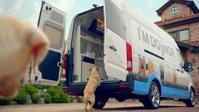 쏠라티 개조해 '반려견 헌혈카' 만든 현대차
