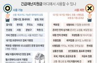 피서지 긴급 재난지원금 사용처, 지역내 피서 가야한다